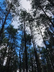 Wonderful sky
