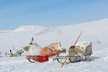 Nenets reindeer herders choom on a winter