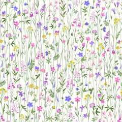 seamless floral pattern. meadow flowers