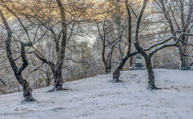 Central Park, New York City in winter after snow