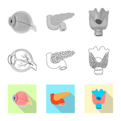 Isolated object of body and human icon. Set of body and medical stock vector illustration.