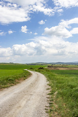 Obraz premium Empty Bulgarian country dirt road winding between green May fields under beautiful cloudy sky at the village of Chukovezer