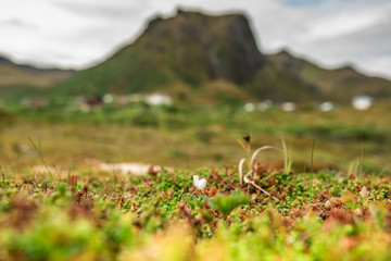 A beautiful landscape with a cloudy sky