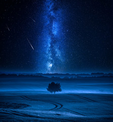 Milky way and falling stars over filed with one tree