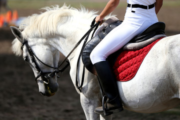 Sport horse close up under old leather saddle on dressage competition