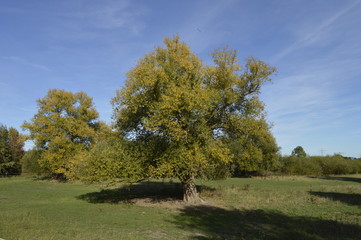 autumn landscappe in East Westfalia