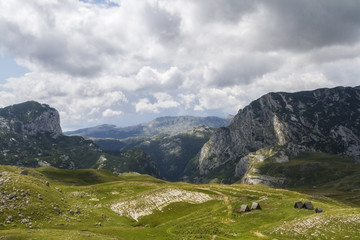 Fototapeta na wymiar Beautiful landscape in Montenegro with fresh grass and beautiful peaks. Durmitor National Park in Montenegro part of Dinaric Alps. 