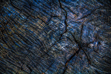 Texture of dark wood with scratches, shavings, stains and cracks.