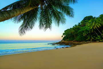 Plakat Tropical beach at sunset