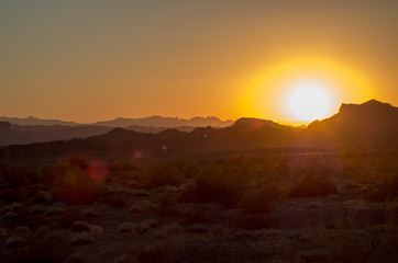 Landscape