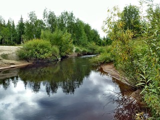 Summer landscape in Siberia