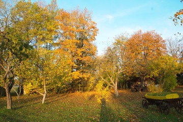 Golden autumn.Colorful foliage in the autumn park.Autumn leaves sky background.Fall background.