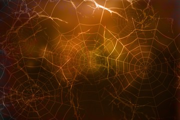 Dark halloween background with spiderweb