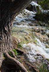 Cascada durante el día