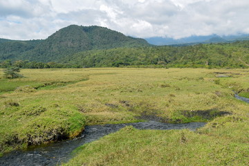Fototapeta na wymiar A fresh water against a mounatin background, Arusha National Park, Tanzania