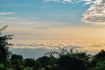 Mount Kilimanjaro above the clouds seen from Mount Meru, Tanzania