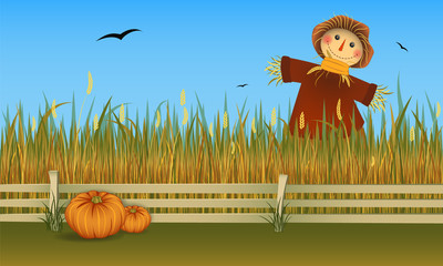 Autumn harvest. Scarecrow on field with two pumpkins. Vector banner.