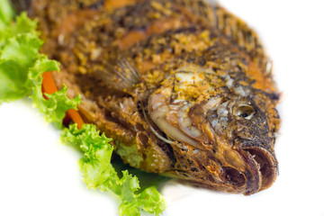 Tilapia fried with salad isolated on white