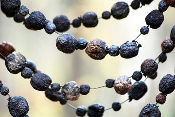 Dried berries on a rope, beads of natural material