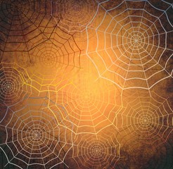 Background with web for halloween