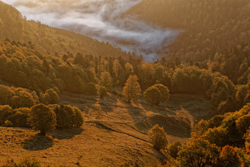 Brouillard dans la vallée