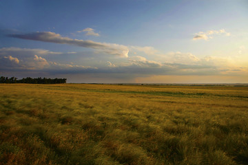Oklahoma Landscape