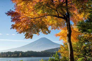 Mt.Fuji in autumn on sunrise at lake Kawaguchiko, Japan
