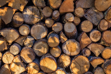 Tas de bois