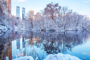 Poster Zentralpark. New York. USA im Winter mit Schnee bedeckt © maglara