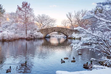 Foto auf Acrylglas Gapstow-Brücke Zentralpark. New York. USA im Winter mit Schnee bedeckt