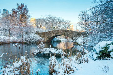 Parc central. New York. USA en hiver couvert de neige