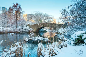 Gordijnen Centrale park. New York. VS in de winter bedekt met sneeuw © maglara