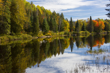 Reflets sur rivière