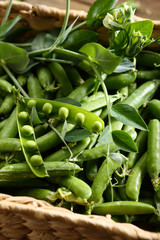 Local fresh green peas