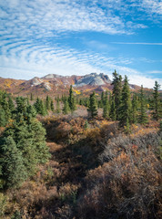 Alaskan hillside in fall colors with bare rock mountain top in the distance