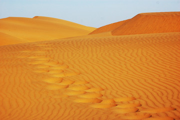 Sand Dunes