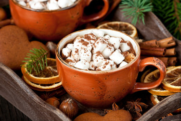 Hot cocoa with marshmallows
