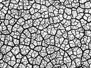 Obraz premium Cracked earth soil texture vector background