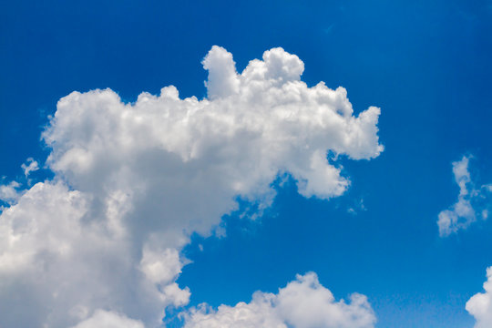 Animal cloud on blue sky, White soft cloudy with shaping like Rhino monster in sunny day, image for business target / imagination kids learning / meteorology presentation / inspiration concept