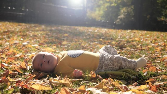 Baby infant child lying on rug grass and falling autumn yellow leaves in park sun light background