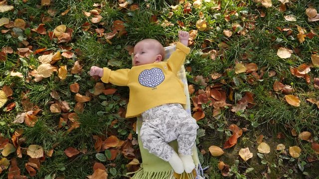 Baby infant child lying on rug grass and fallen autumn yellow leaves in park top view