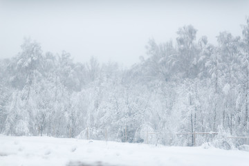 Snowy winter road among frozen forest after ice storm. Cold weather, snowstorm, bad visibility, slippery road. Moscow region.
