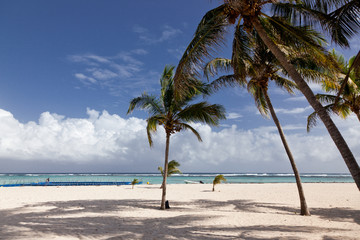 carribean beach in La Desirade, Guadeloupe