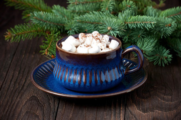 Winter hot drink, cacao with marshmallows and  cinnamon, spicy hot chocolate