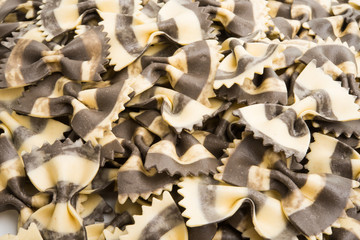 italian pasta bows with squid
