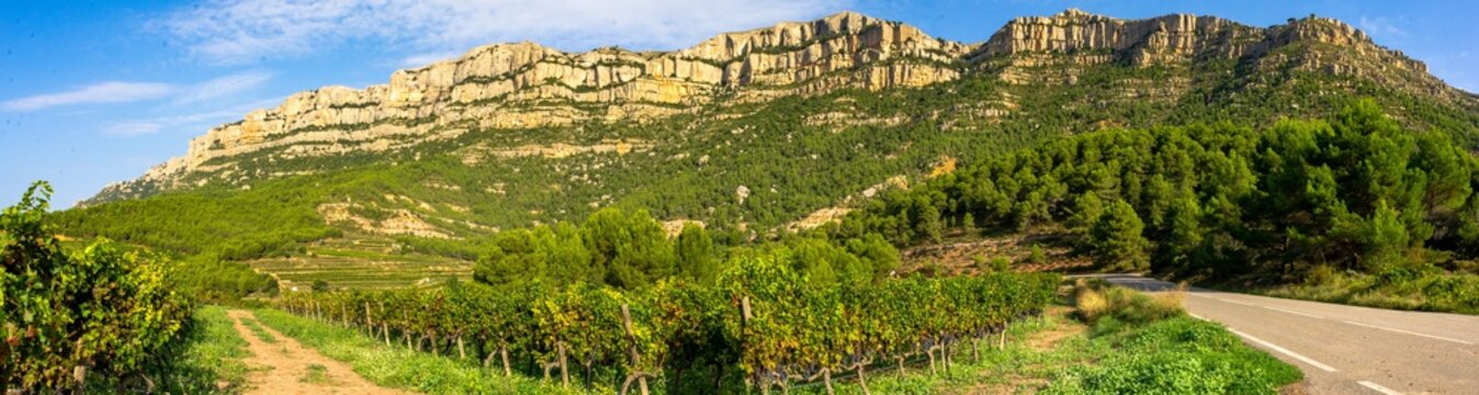 Priorat Winefields Zone 26