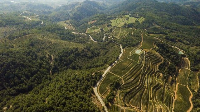 Priorat Winefields Zone 7