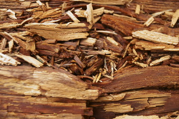 Old wood texture - brown abstract background