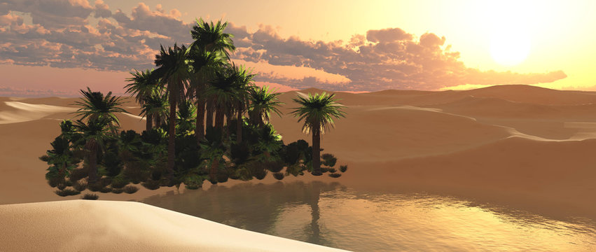 Beautiful oasis in the sandy desert at sunset, a lake with palm trees in the desert,
