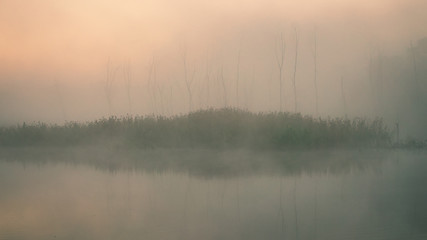 Fototapeta premium Autumn misty landscape on the river in the morning. Reeds and trees.